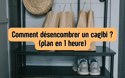 Comment désencombrer un cagibi ? (plan en 1 heure)